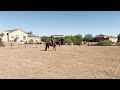Jami Rodriguez & Lazy Butt Perfect, July Summer Series 2024, Class 21: Horsemanship19 & Over