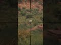 No Chance for This Mule Deer 😳 Headshot Madness! - Hunting Simulator 2 #huntingsimulator2 #muledeer