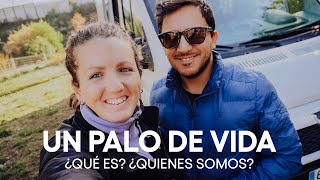 Qué Es Un Palo De Vida. Proyecto Vanlife Viajes, Gente Y Comida