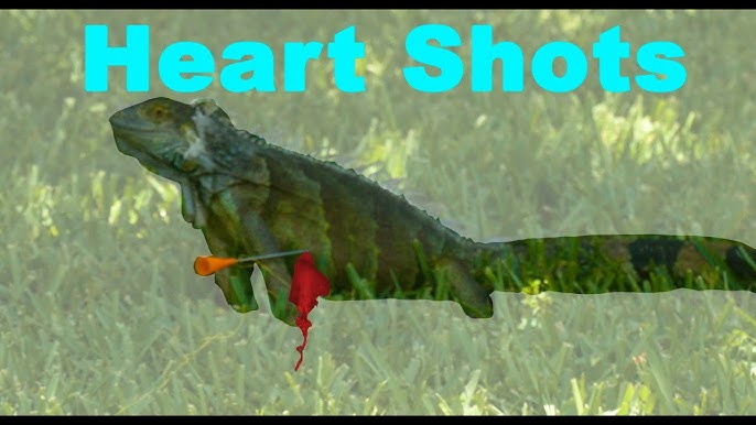 A Blow Gun Hunt for Florida's Giant Iguanas 