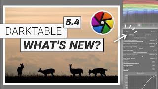 New Tone Mapper? Whats New In Darktable 5.4