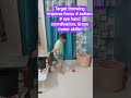 Target throwing improve eye hand coordination,focus and attention in autistic kids