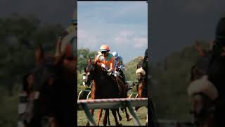 #preakness #preaknessstakes #preakness2025 #sonyfx3 #filmmakersfamily #concert
