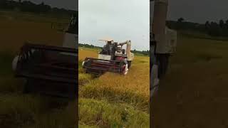 World Goyam Kapana Machine