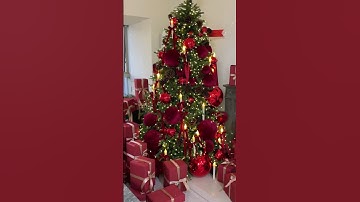 Start decorating the Christmas tree of 2025 ! #christmas #christmastree #decoration #decor #xmas
