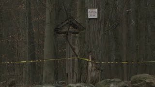 Man walking dog finds human hand in park on Staten Island