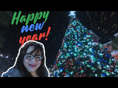 Happy New Year Vlog - Snow in Florida?