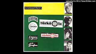 Yüksel Özkasap - Atimi Bagladim Nar Agacina - (45Lik Plak Kayıtları)