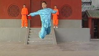 Shaolin Kung Fu weapon: knife 2