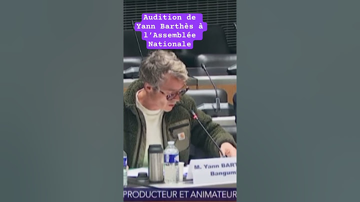 Audition de l’animateur et du producteur Yann Barthès à l’assemblée nationale.
