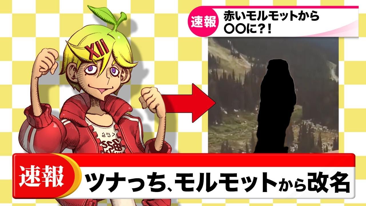 【猫ミームのアレ】マーモットから分かるヤバい歴史の話【ヨーロッパの闇】