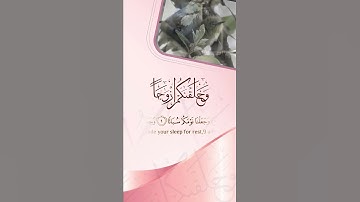 (وخلقناكم ازواجا) عبدالرحمن مسعد من سورة النبأ