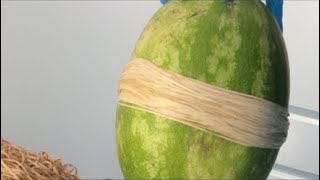 EXTREME WATERMELON EXPLOSION!!!!!