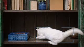 Pet Camera ,Security Camera Indoor,Pet Camera with Phone App, ,Security screenshot 4