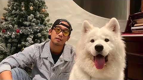 "พิชญ์ กาไชย" เข้ามาคอมเมนต์แบบนี้ หลัง "มารี เบิร์นเนอร์ "โพสต์คลิปเต้น Tiktok โชว์ผลตรวจโควิด19