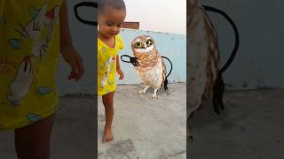 Unbelievable Owl Moment 😍 | অবিশ্বাস্য এই পেঁচাটার কাণ্ড!#heenaprajapati