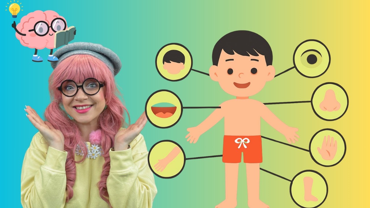 👂🎓👶Learn The Human Body! Body Parts Toy / Educational Play Ayu and