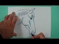 Wie zeichnet man einen Pferdekopf von der Seite? Zeichnen für Kinder.