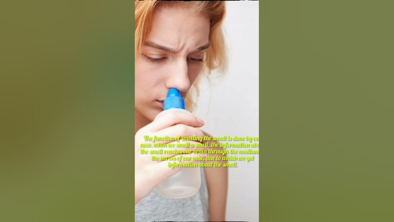 why-we-stop-experiencing-smell-from-our-nose-when-we-have-a-cold-facts