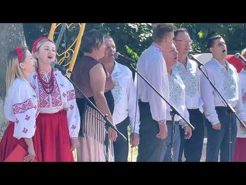 А над ставом вербонька похилилися в Рокитному