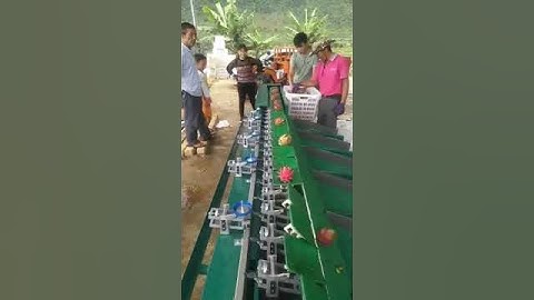 dragon fruit sorting machine, dragon fruit grading machine