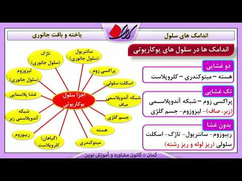 زیست دهم   فصل دوم   یاخته و بافت جانوری   اندامک های سلول   قسمت 1