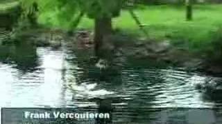 Koenders Windmills for Pond Aeration