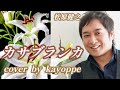 新曲【カサブランカ】松原健之  cover🎤kayoppe