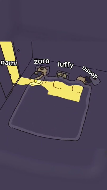 zoro x luffy x ussop x nami 👀 #onepiece #foryou #short #cat #cute #funny #anime