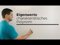 Eigenwerte, Charakteristisches Polynom, Matrizen, Abbildungen | Mathe by Daniel Jung