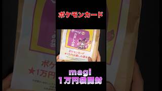 ポケモン - 【大宮店】ポケカmagi公式 10万円福袋 magi公式ポケカ10万円福袋 - magi通販【ポケモンカード専門】