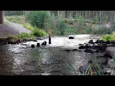 ротан водомет, мотор 15 л/с - YouTube