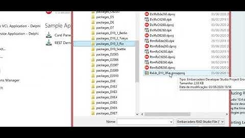 Instalação Componentes Paleta RX - Delphi 10.3