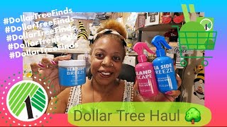 Small Dollar General and Dollar Tree Haul. Great affordable prices at both.