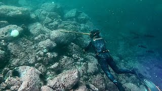 Spearfishing British Columbia With DivingSports | Vancouver Island