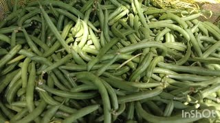 Today's Vegetables rates at chikkaballapura vegetables market 05/06/24 🫑🥕🍆🥬🥒🌶️🫘🧅🌽🍠🍉🥦