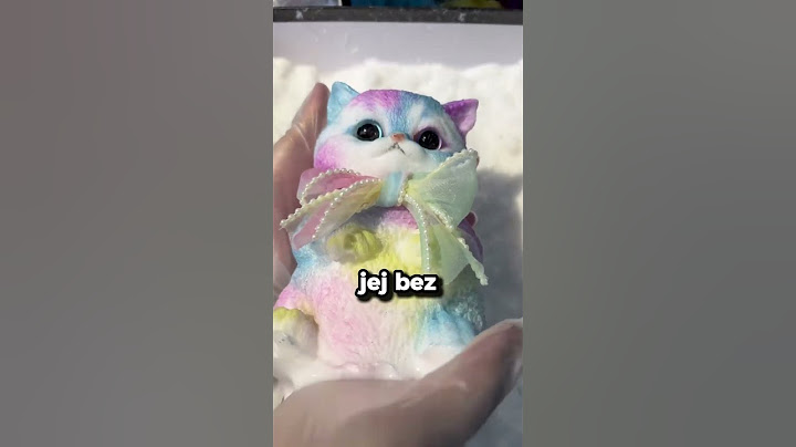 Lepka zabawa kotka! 🐱✨