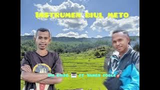 INSTRUMEN BIUL METO 