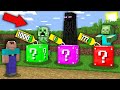 Minecraft NOOB vs PRO: WHY ZOMBIE VS CREEPER VS ENDERMAN SELL DIFFERENT LUCKY BLOCK IN SHOP?