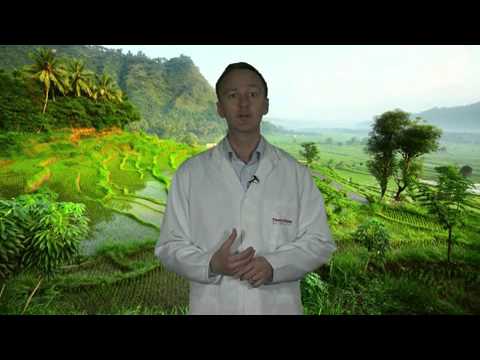 thermo-scientific:-arsenic-speciation-in-organic-brown-rice-syrup