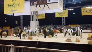 M&M whp ex 143cm Hoys 2016(4)