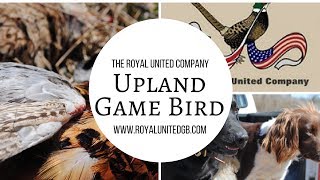 Upland Game Bird Hunting The Royal United Company screenshot 3