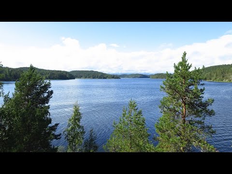 Север Ладожского озера. Поход и рыбалка в Куркиеки.