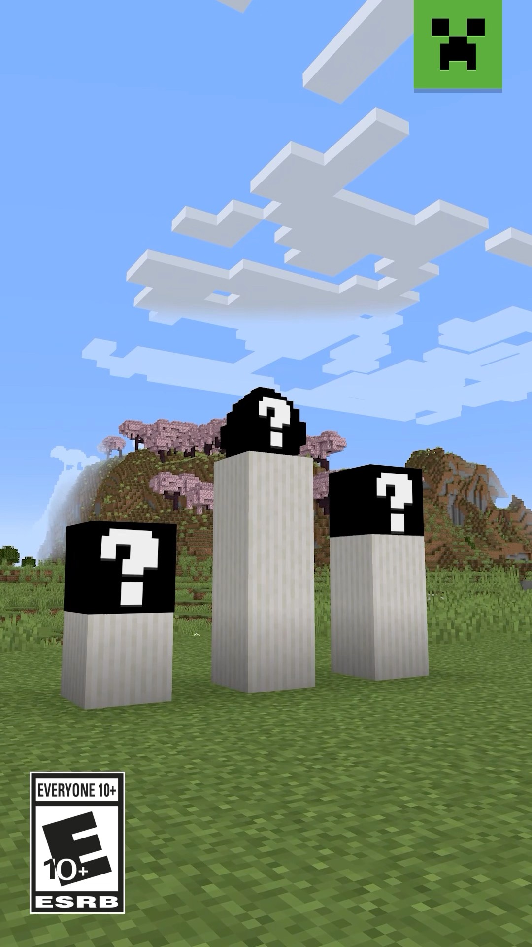 HAVE YOU SEEN THESE BLOCKS IN MINECRAFT?