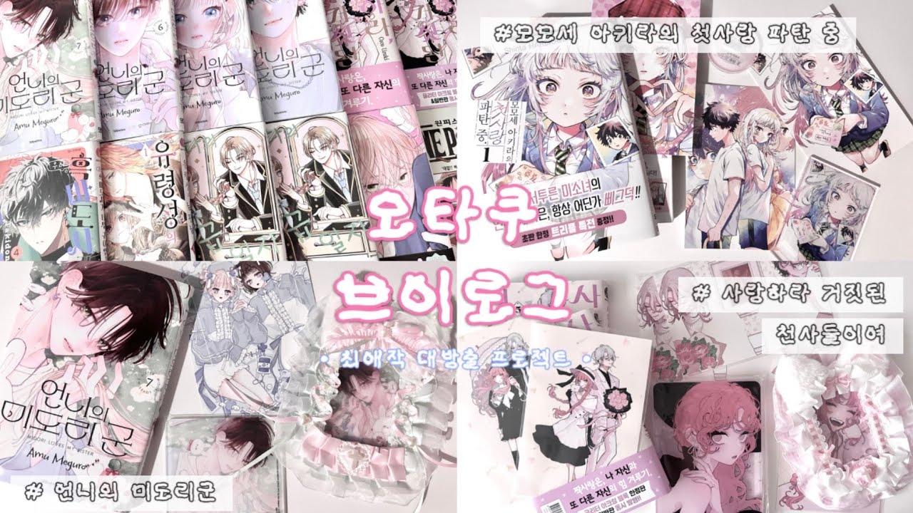 ୨୧ 오타쿠 브이로그 | 만화책 사냥을 본격적으로 나서면 생기는 일 | 순정만화 소년만화