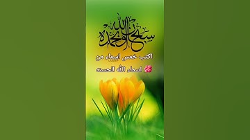 استغفر الله العظيم  استمع القرآن الكريم #احترم القرآن الكريم #قران #كريم