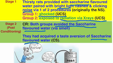 Garcia & Koelling (1966) taste aversion - VCE Psychology