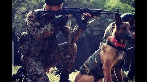 COBRA COMMANDO // CRPF COMMANDO // COMMANDO MOTIVATION // STATUS VIDEO 🇮🇳