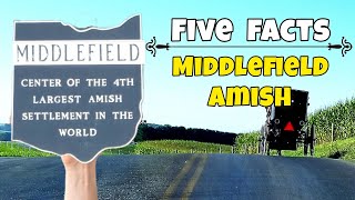 5 Fascinating Facts about Middlefield Ohio Amish