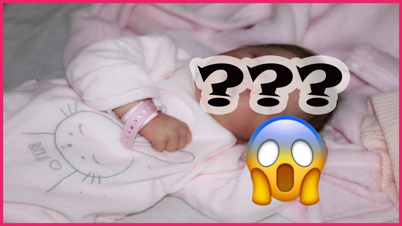 bambola reborn sofia